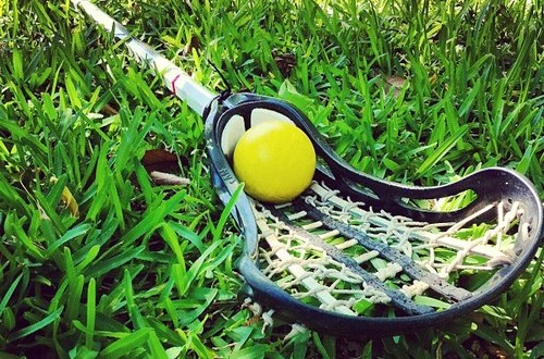 a women's lacrosse stick laying in grass with a standard regulated equipment lacrosse ball in the pocket