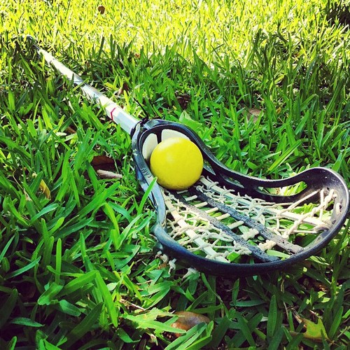 a women's lacrosse stick laying in grass with a standard regulated equipment lacrosse ball in the pocket