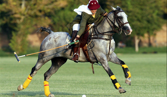 woman riding on a horse to hit a polo ball regulated equipment includes ball and mallet