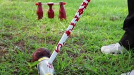 Woodball – Invented in Taiwan